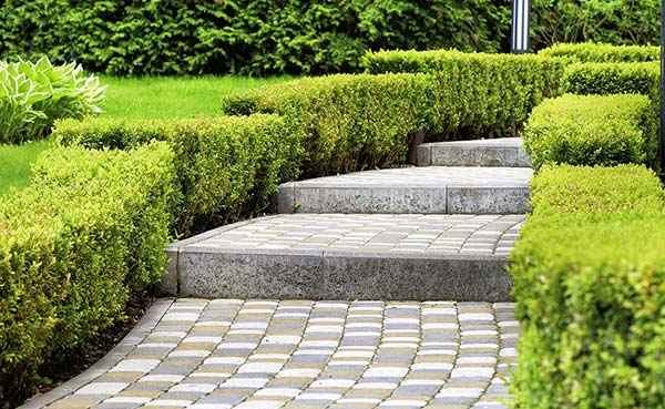 leistung projekt garten