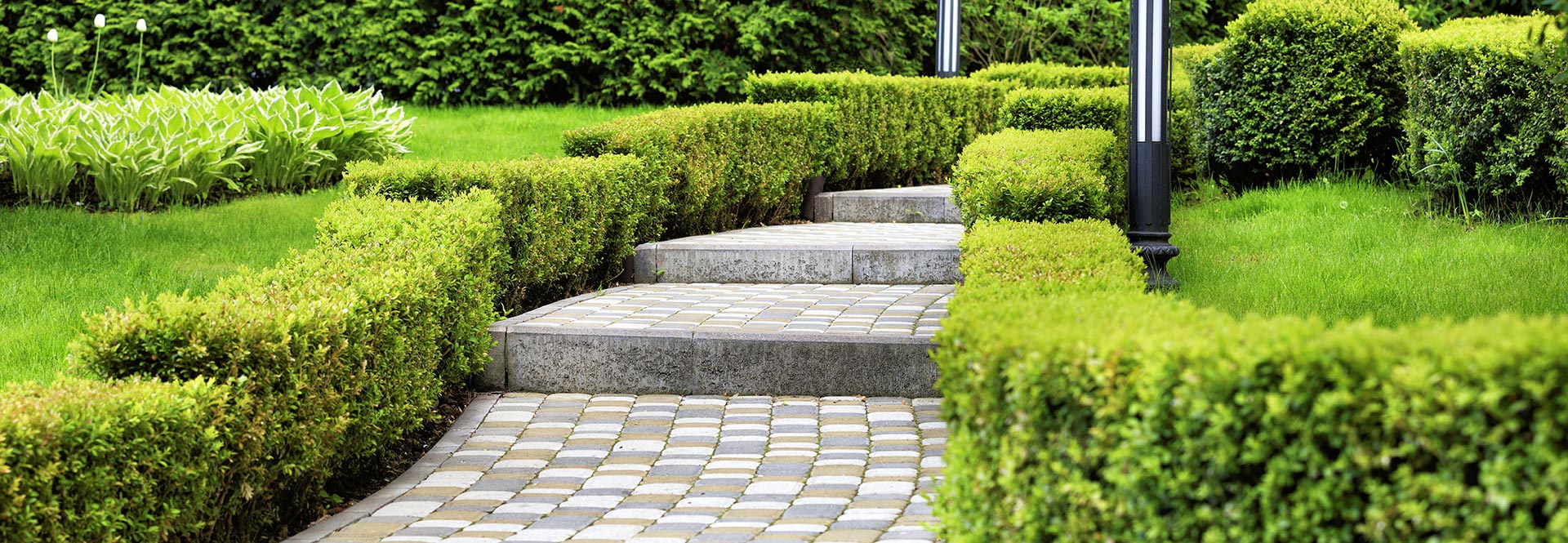 Ridvan Gashi Süd-Team Gartenbau Landschaftsbau